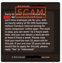 Scam message reads: Sorry to bother you! I'm Amelia from <redacted>. We recommend a full time/part-time employee job for you, with an hourly salary of 50-200 Australian dollars! Conduct internal testing for some companies' online apps. The work is easy, and you can work 1 to 2 hours each time, and you can obtain a work permit at least 5 times a week. Please note that you must be over 22 years old for this job. If you are over 22 years old and would like to apply for this job, please reply "Yes" or "Interested".